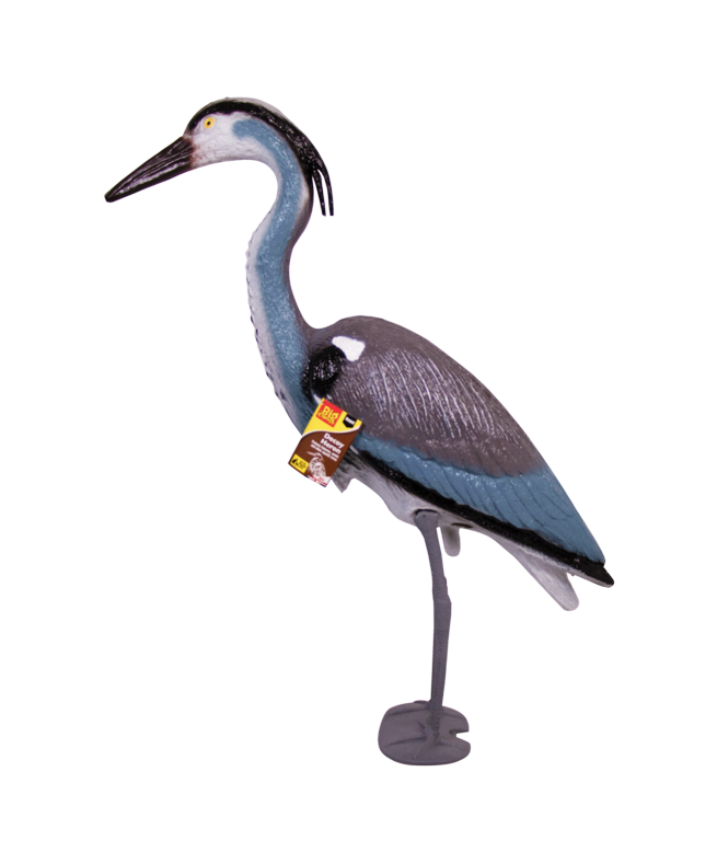 Heron