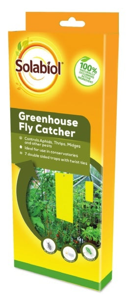 Greenhouse Fly Catcher
