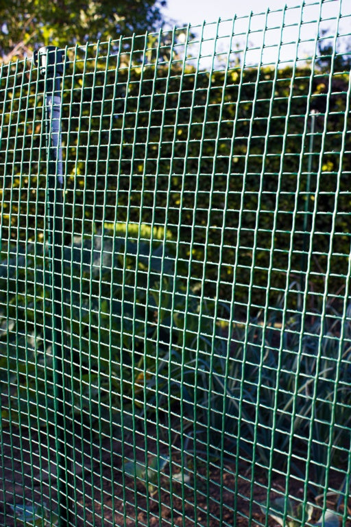 Garden Mesh