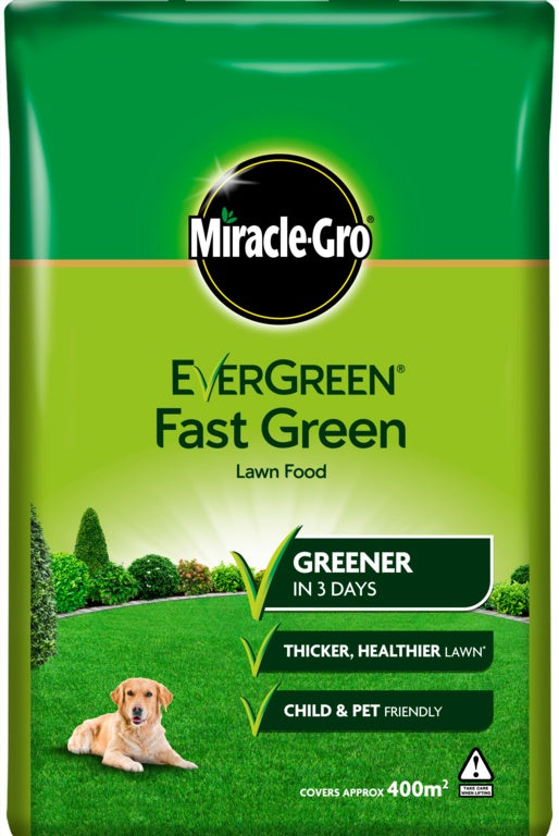 Evergreen Fast Green