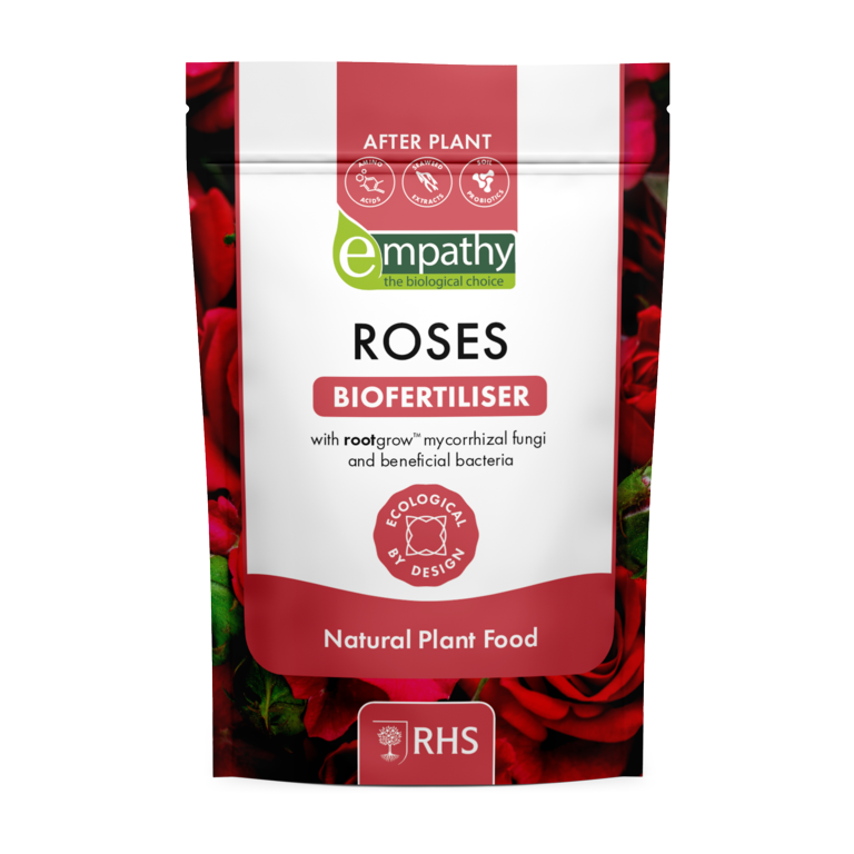 After Plant Rose Food With Rootgrow