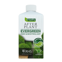 After Plant Evergreens