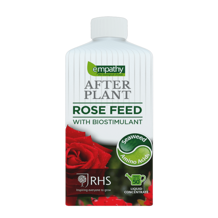 After Plant Rose Feed