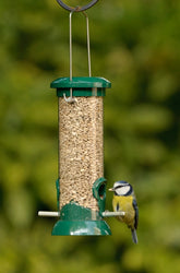 Easy Clean Seed Feeder