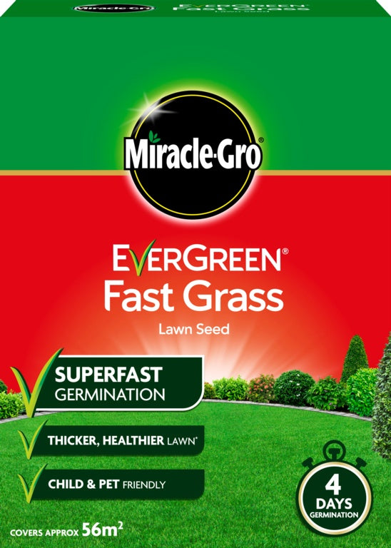 Fast Grass Seed