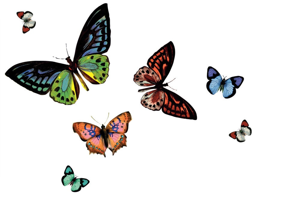 Rio Placemat - Butterfly Transparent