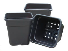 25cm Square Tomato Pots