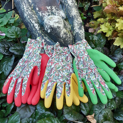 Ladies Chilli Gloves