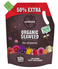 Organic Seaweed