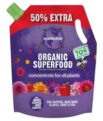 All Plants Organic Superfood