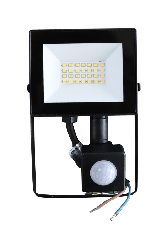 LED Floodlight