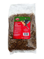 Dried Mealworms
