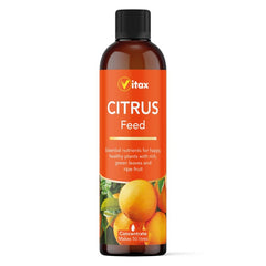 Citrus Feed