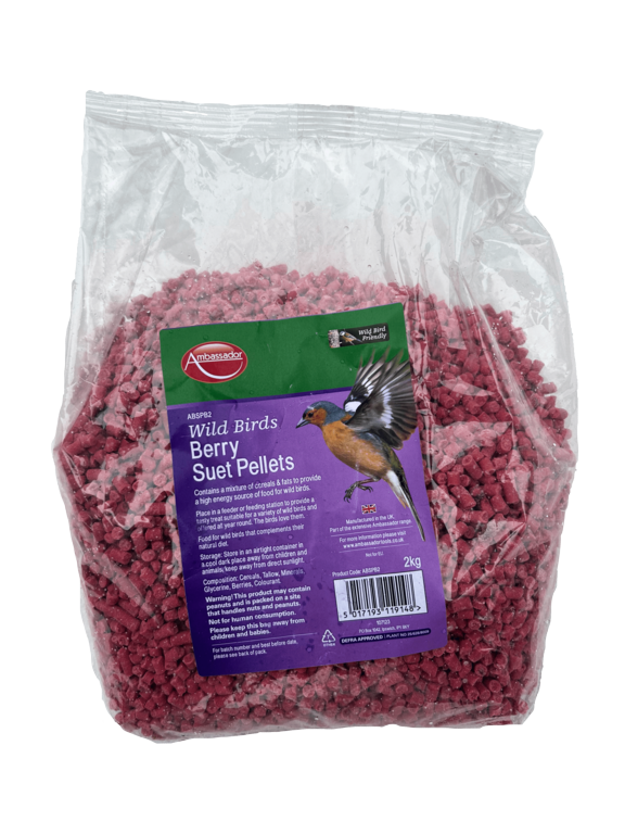 Berry Suet Pellets