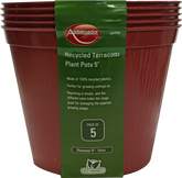 Terracotta Plant Pots