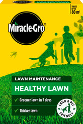 Healthy Lawn