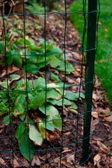 Fencing Stakes