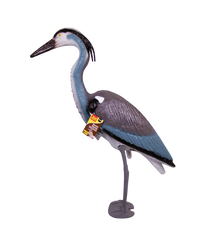 Heron