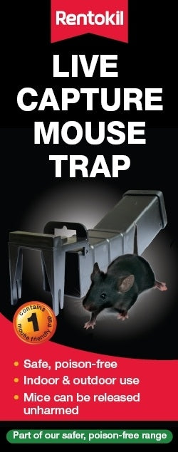 Live Capture Mouse Trap