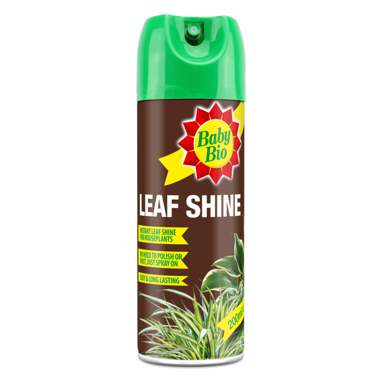 Leaf Shine