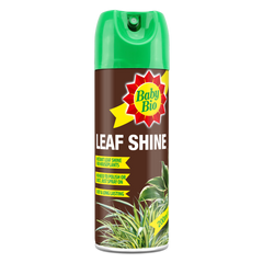 Leaf Shine