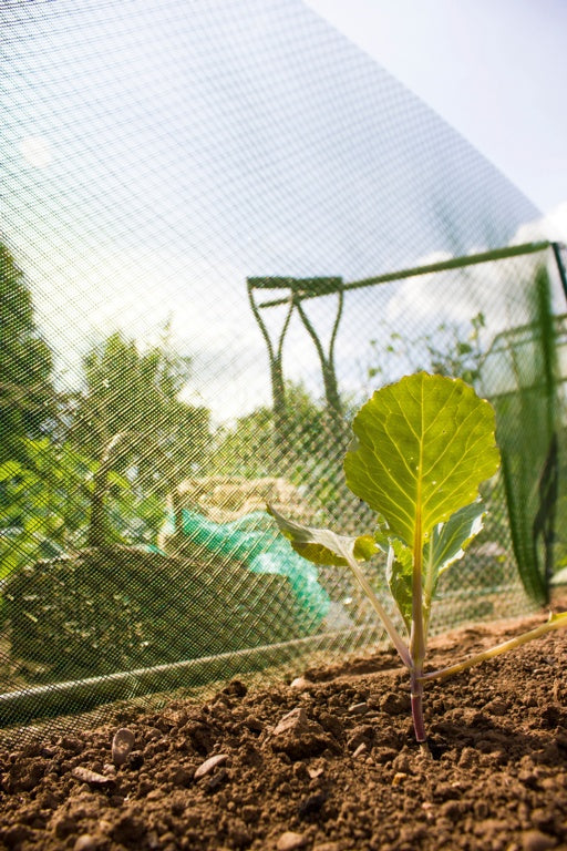 Plant Shading