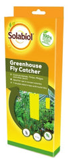 Greenhouse Fly Catcher