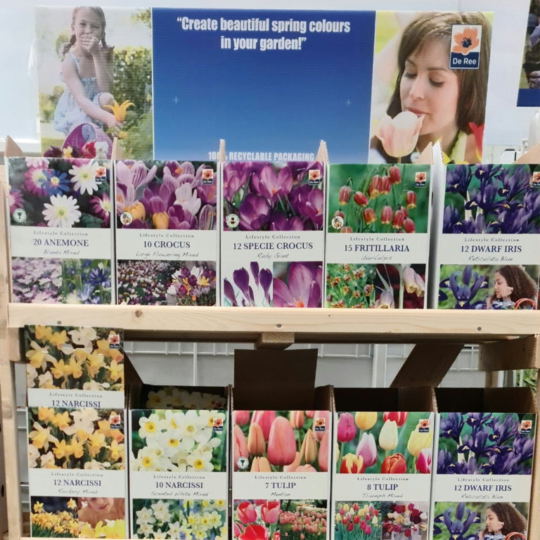 Lifestyle Bulb Collection