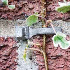 Lead Headed Nails