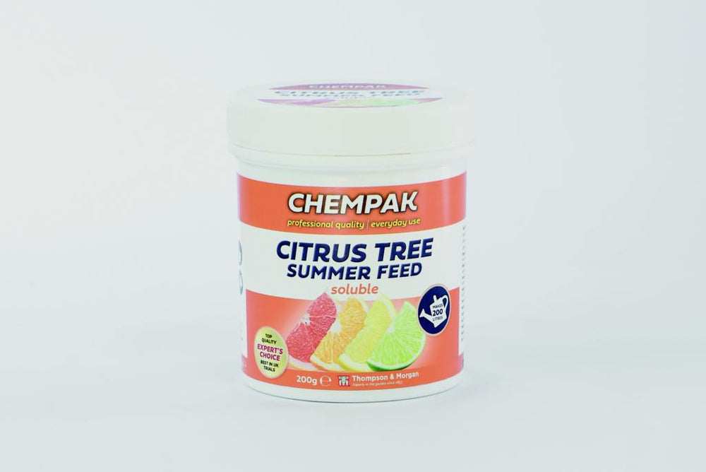 Citrus Summer Feed