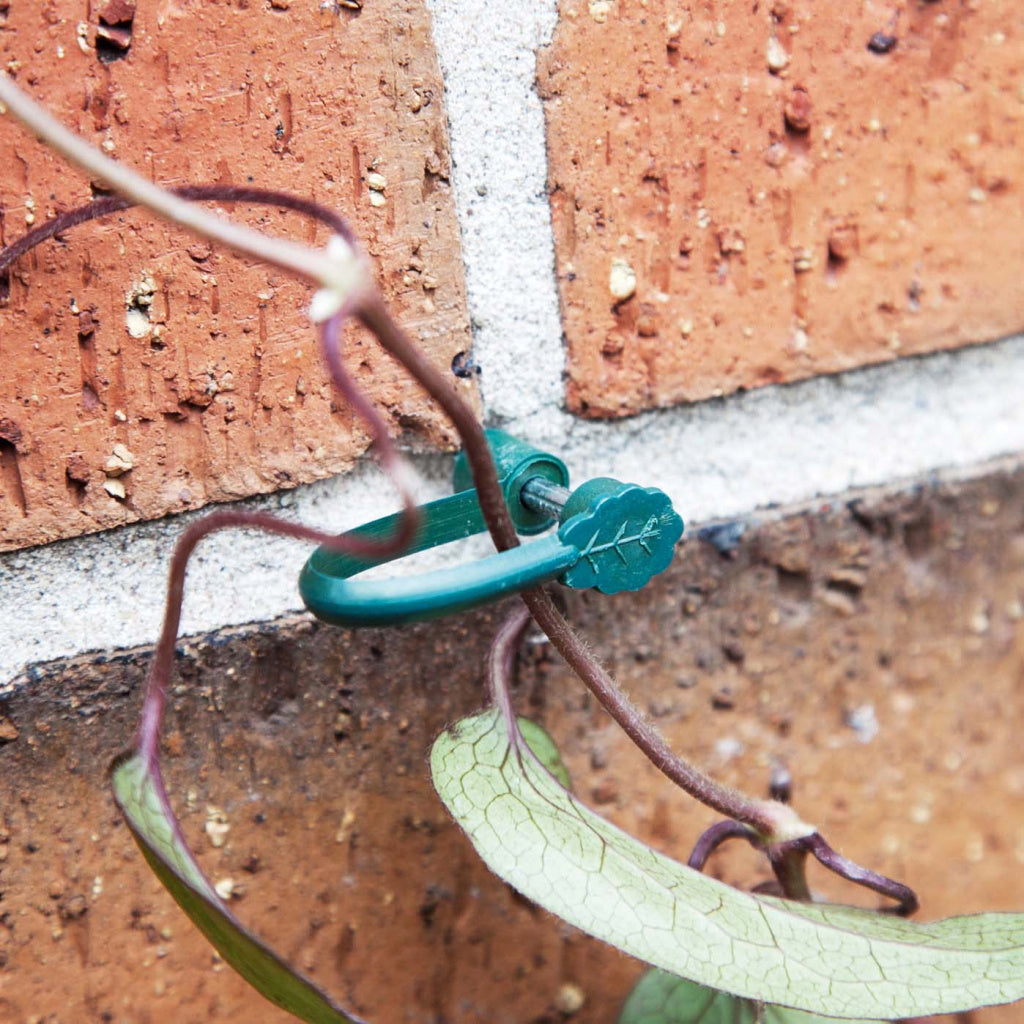 Stem Support Clips