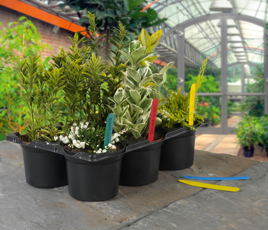 Plant Labels