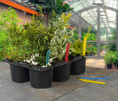 Plant Labels