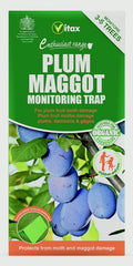 Plum Maggot Trap