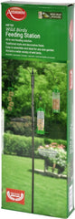 Wild Birds Feeding Station
