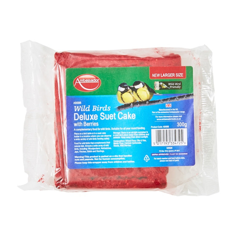 Deluxe Suet Cake with Berries