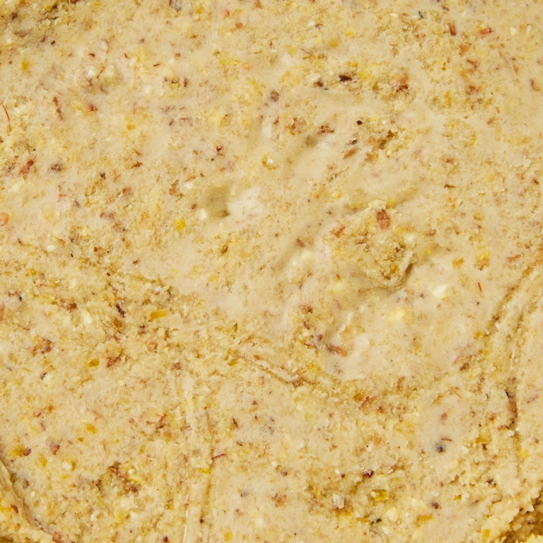 Deluxe Suet Cake with Insects
