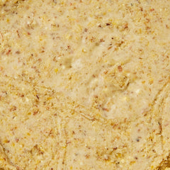 Deluxe Suet Cake with Insects