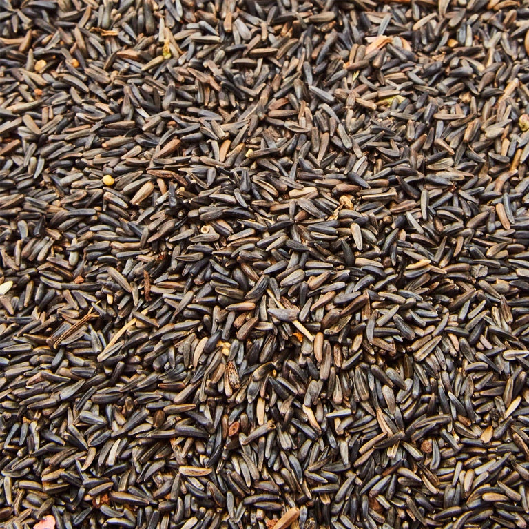 Nyger Seed