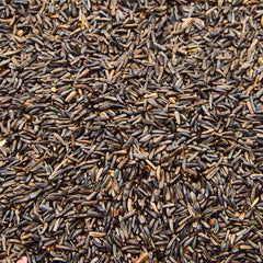 Nyger Seed