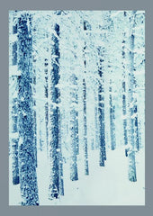 Backdrop 100% Polyester