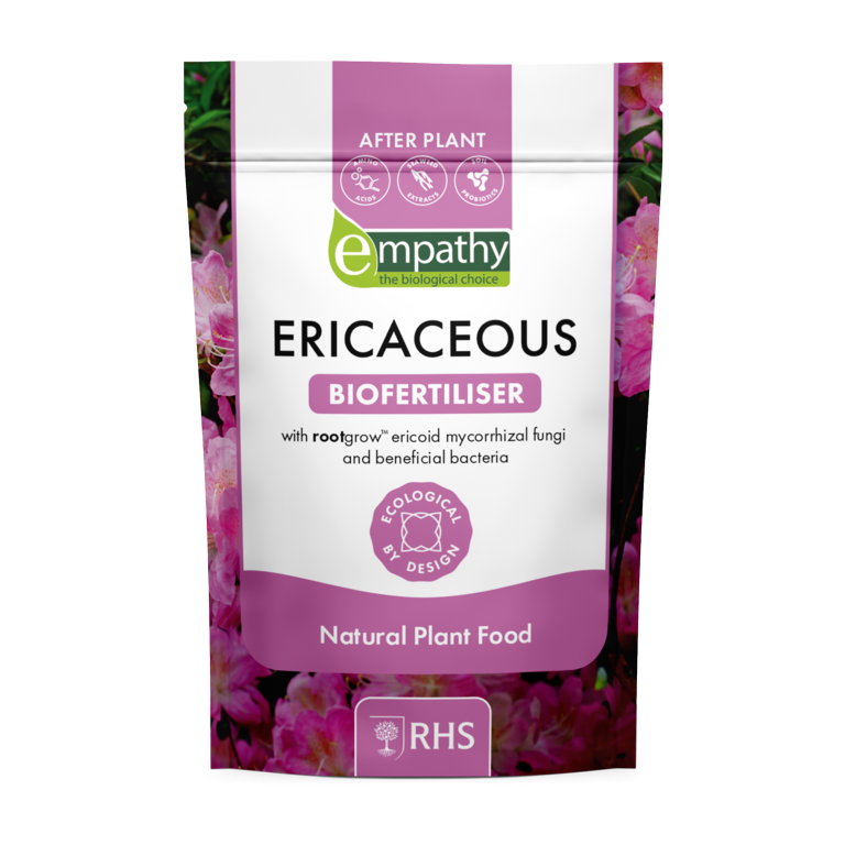 After Plant Ericaceous Ericoid