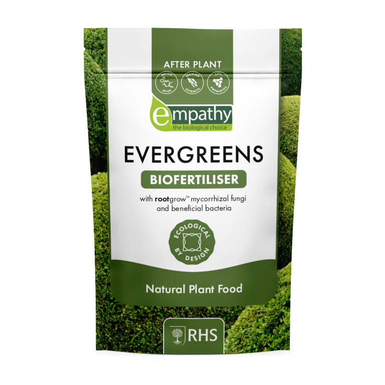 After Plant Evergreens With Rootgrow