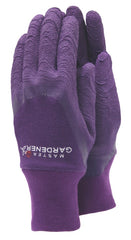 Master Gardener Aubergine