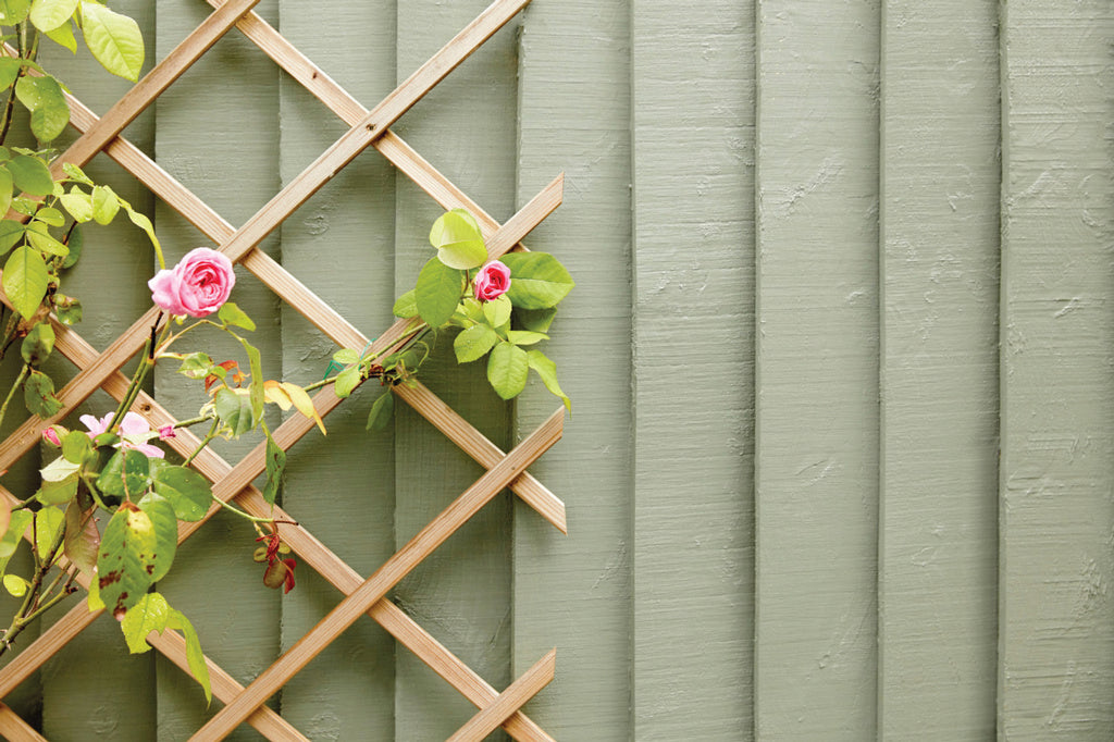 Fence Life Plus 5L