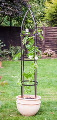 Garden Obelisk