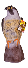 Falcon