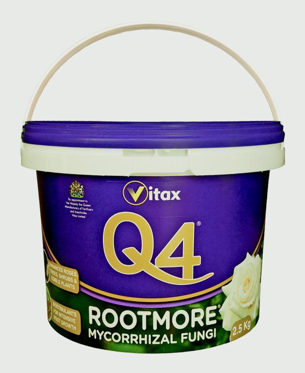 Q4 Rootmore