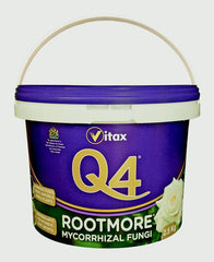Q4 Rootmore