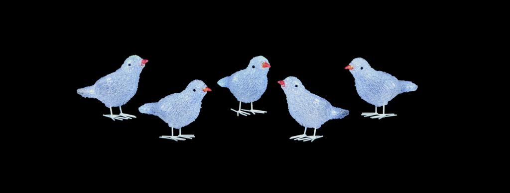5 Piece Acrylic Birds